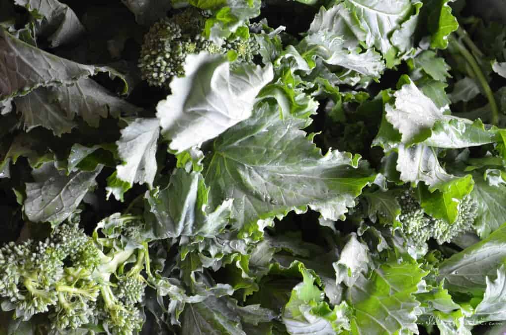 A bunch of fresh broccoli rabe.