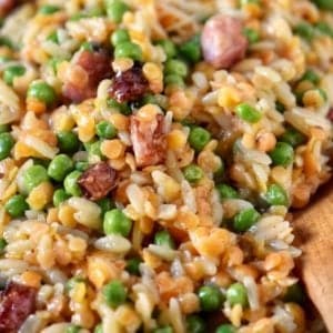 A close up photo of orzo risotto.