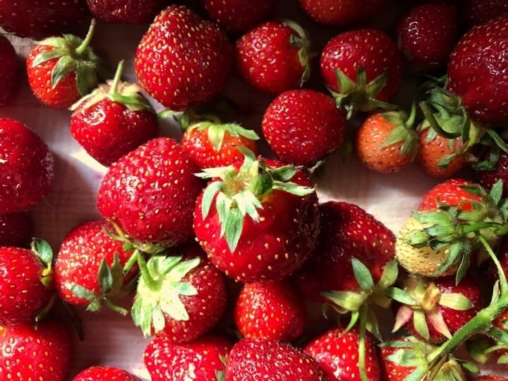 Bright red fresh strawberries with the stems attached.