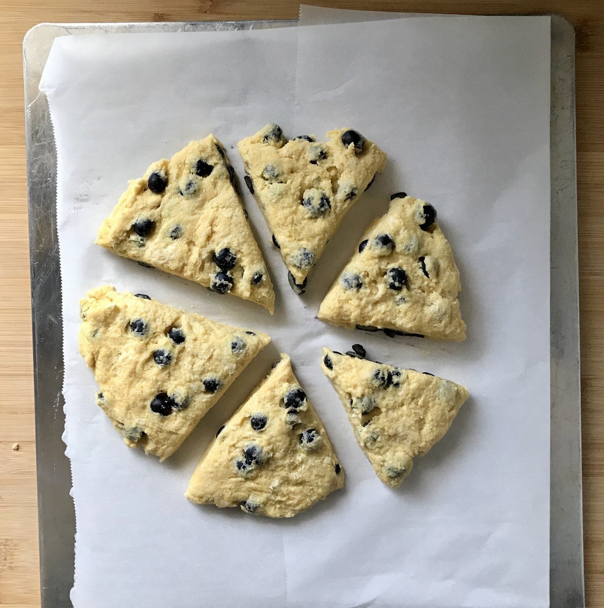 Lemon Blueberry Scones on a parchment lined baking sheet.