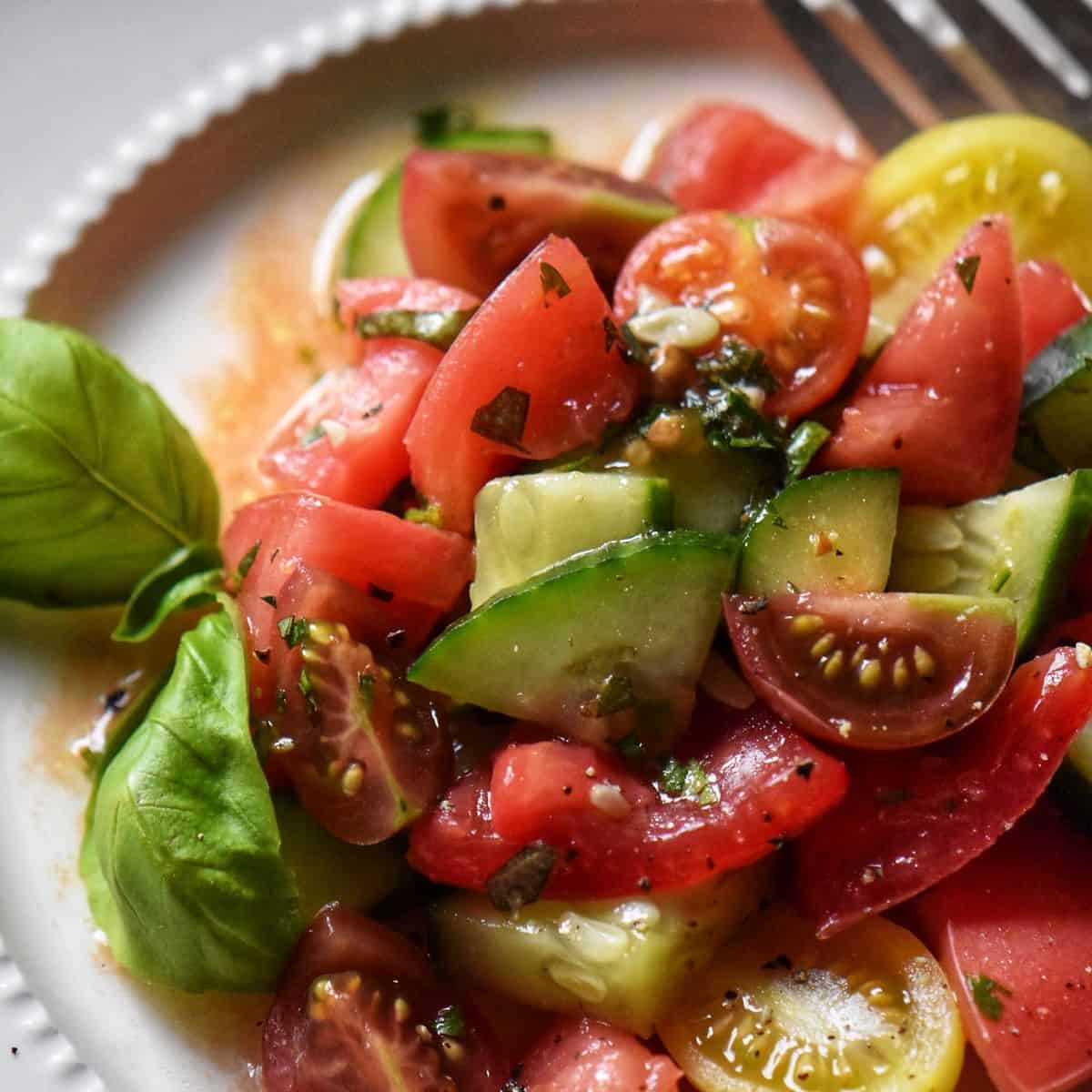 A cucumber tomato salad in a white plate surrounded by fresh tomatoes and a few pieces of Italian rustic bread.