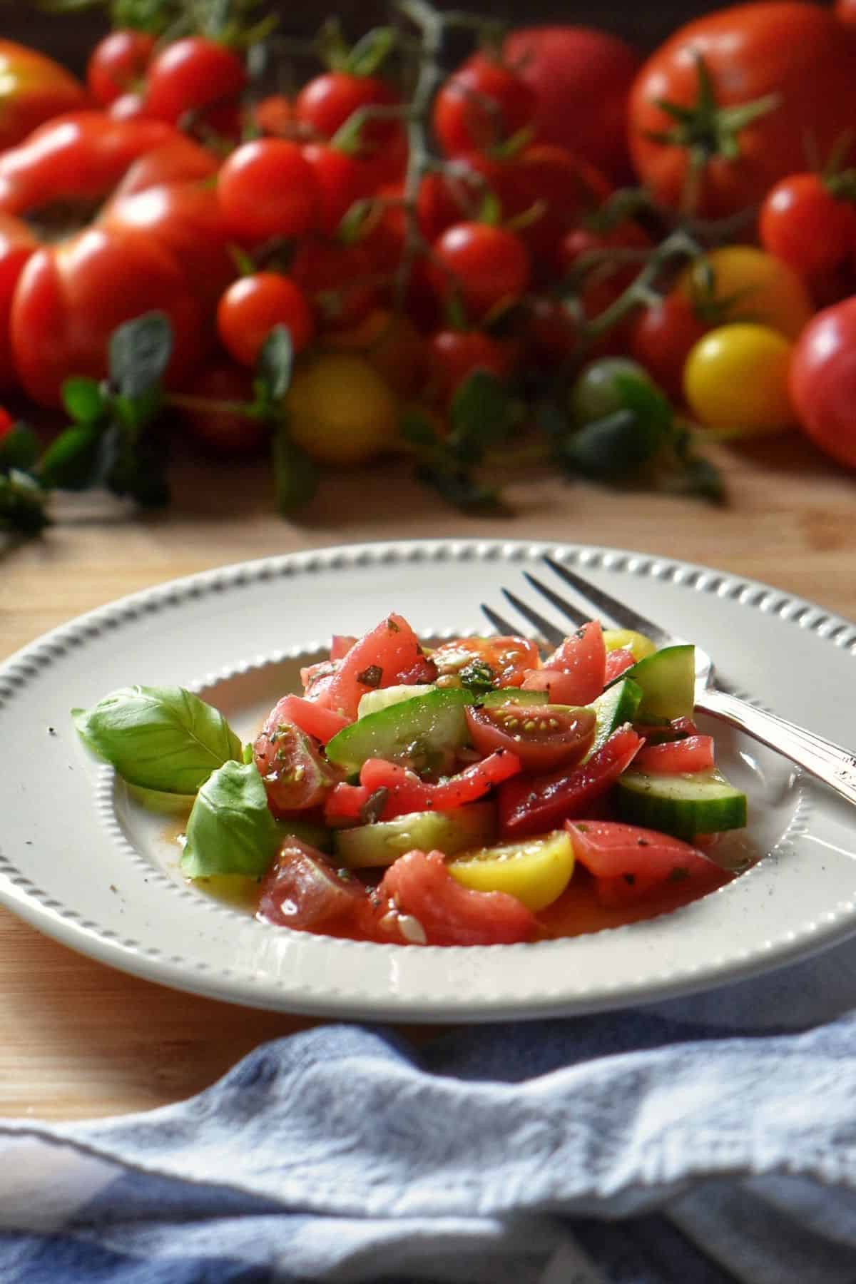 Tomato cucumber salad in a white plate; in the background a variety of fresh tomatoes.