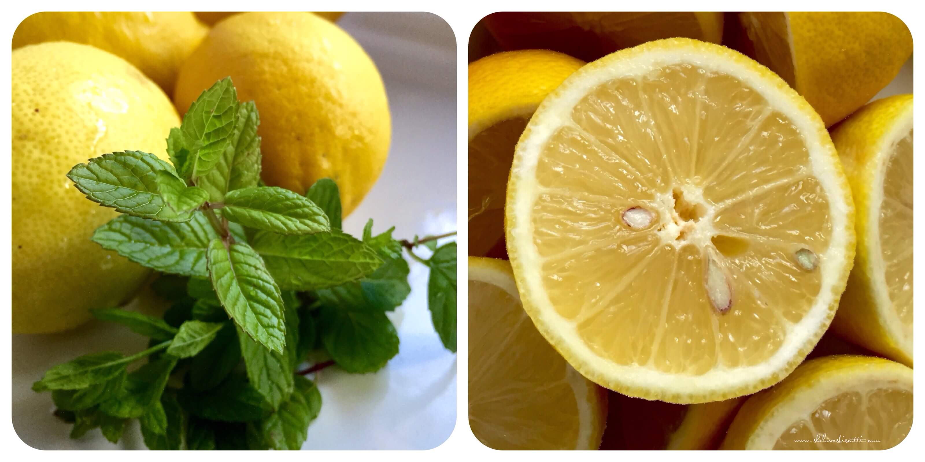 lemons and mint required to make lemon ice.