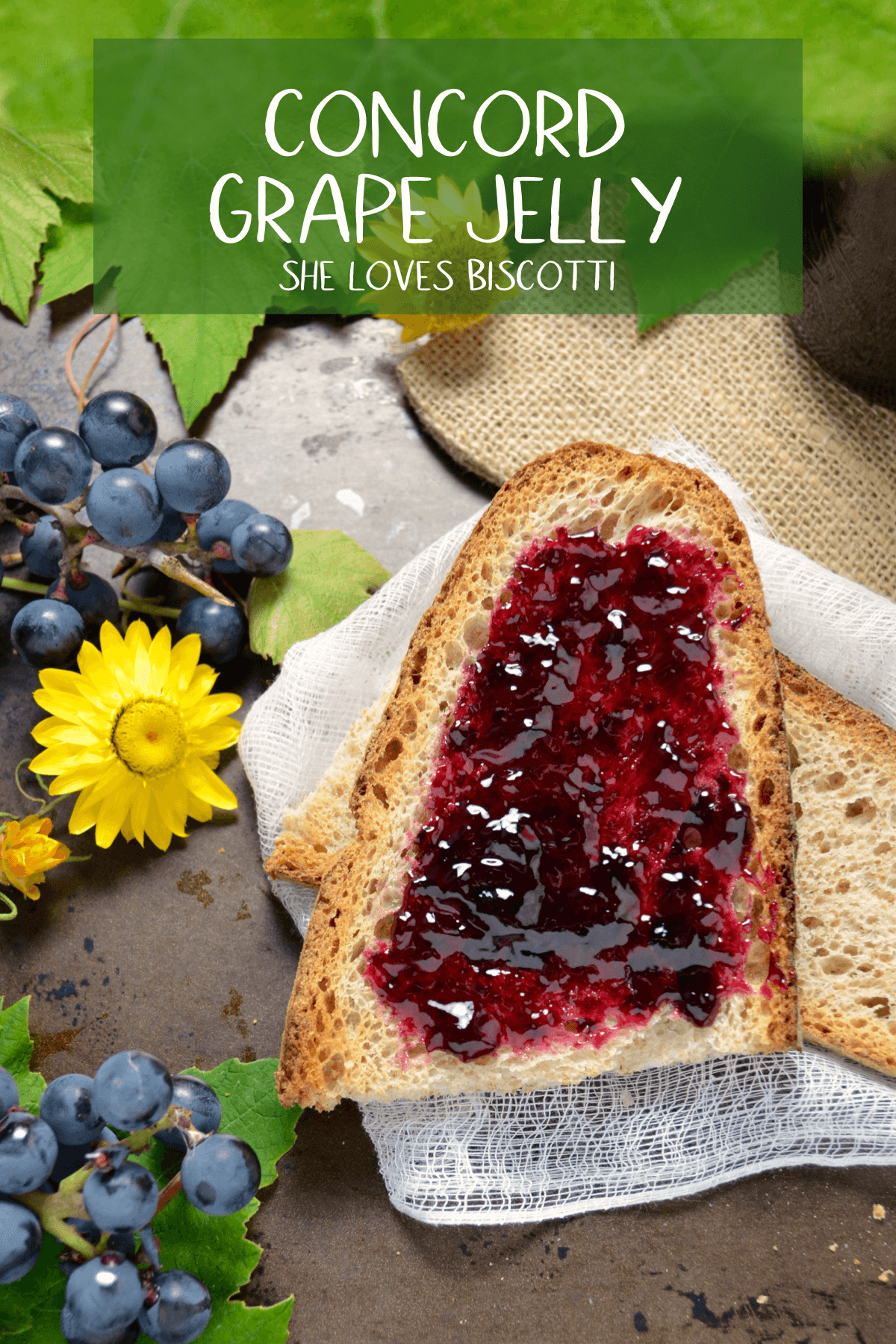 Make this recipe for grape jelly with fresh concord grapes. Perfect for breakfast, brunch, after school snack or use this preserve with chicken or meatballs. #grapejelly #jelly #canning #homemadejelly #concordgrapes Click thru to see a step by step tutorial. Save the pin or better yet be part of the community and follow to never miss a post.