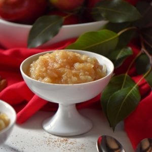 A generous bowl of applesauce in a white ceramic dish.