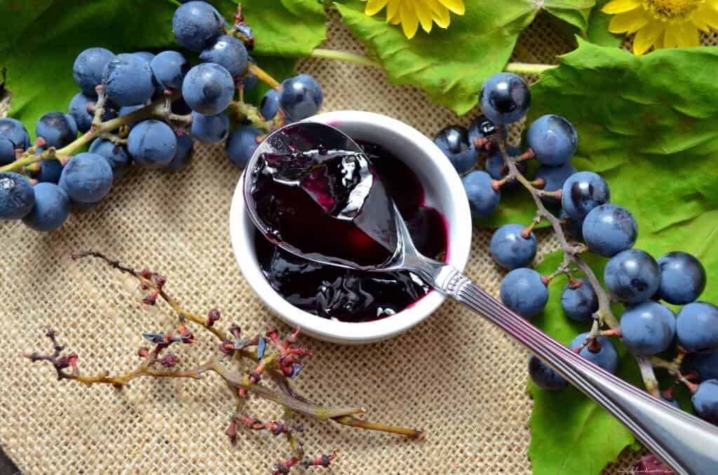 An overhead shot of a spoonful of Concord Grape Jelly, surrounded by fresh concord grapes.