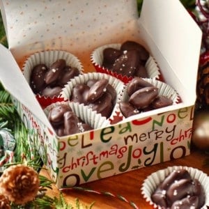 Chocolate covered almonds in a gift giving box.