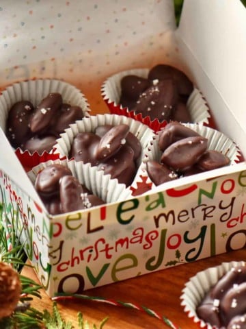 Chocolate covered almonds in a gift giving box.