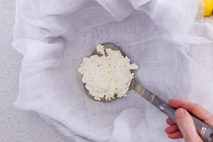 The ricotta cheese is place in a cheese cloth lined colander to drain.