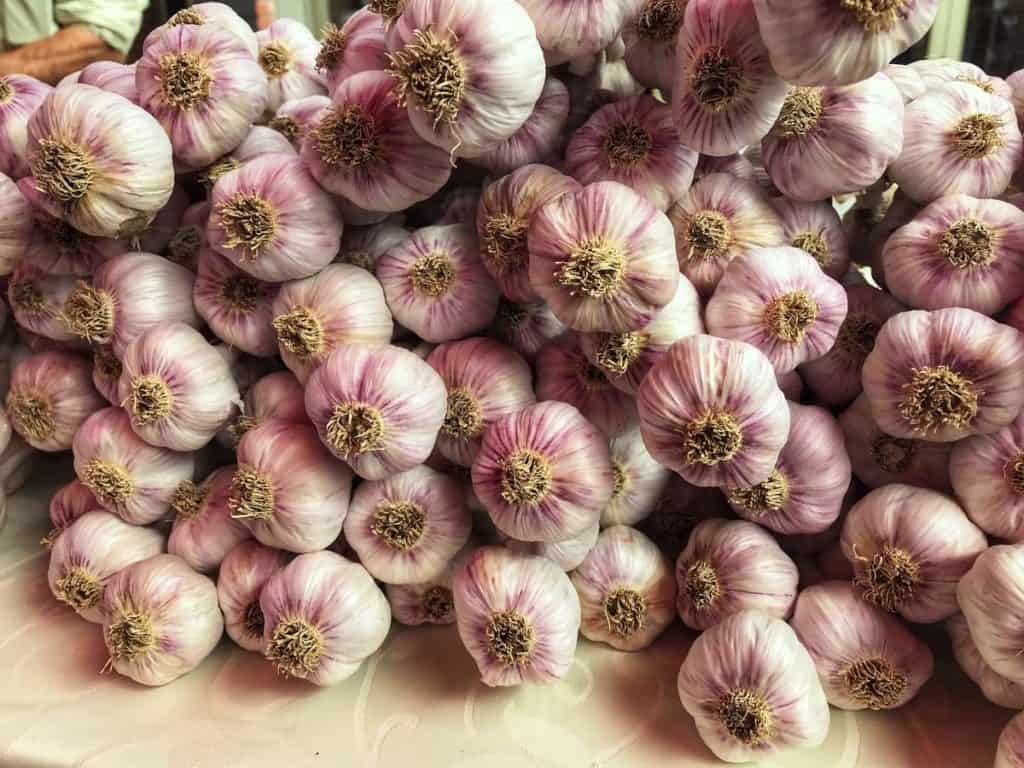 Dozens of garlic heads on a wooden board.