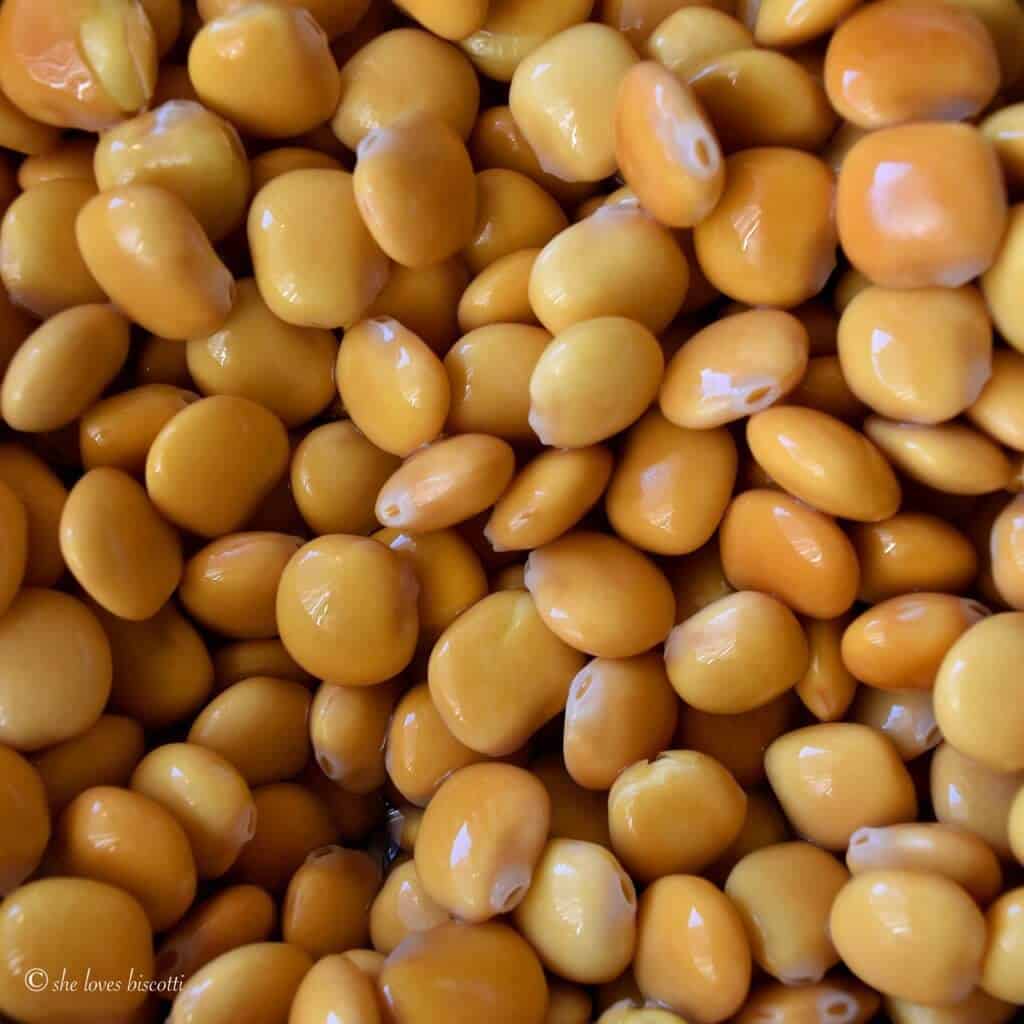 A close of lupini beans.