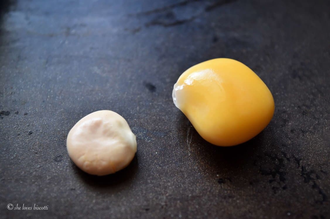 Comparing a dry and cooked Italian Lupini Bean