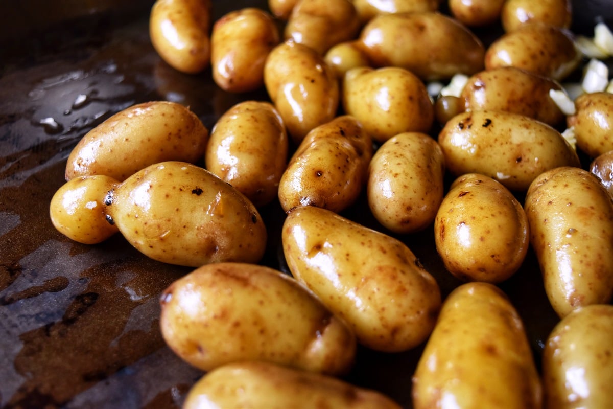 Fingerling potatoes on a sheet pan, coated with olive oil.