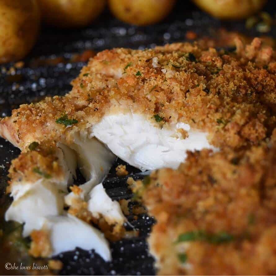 A close up of the white flesh of the cod fish flaking easily.