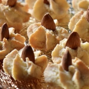 A tray of star shaped Italian almond cookies.