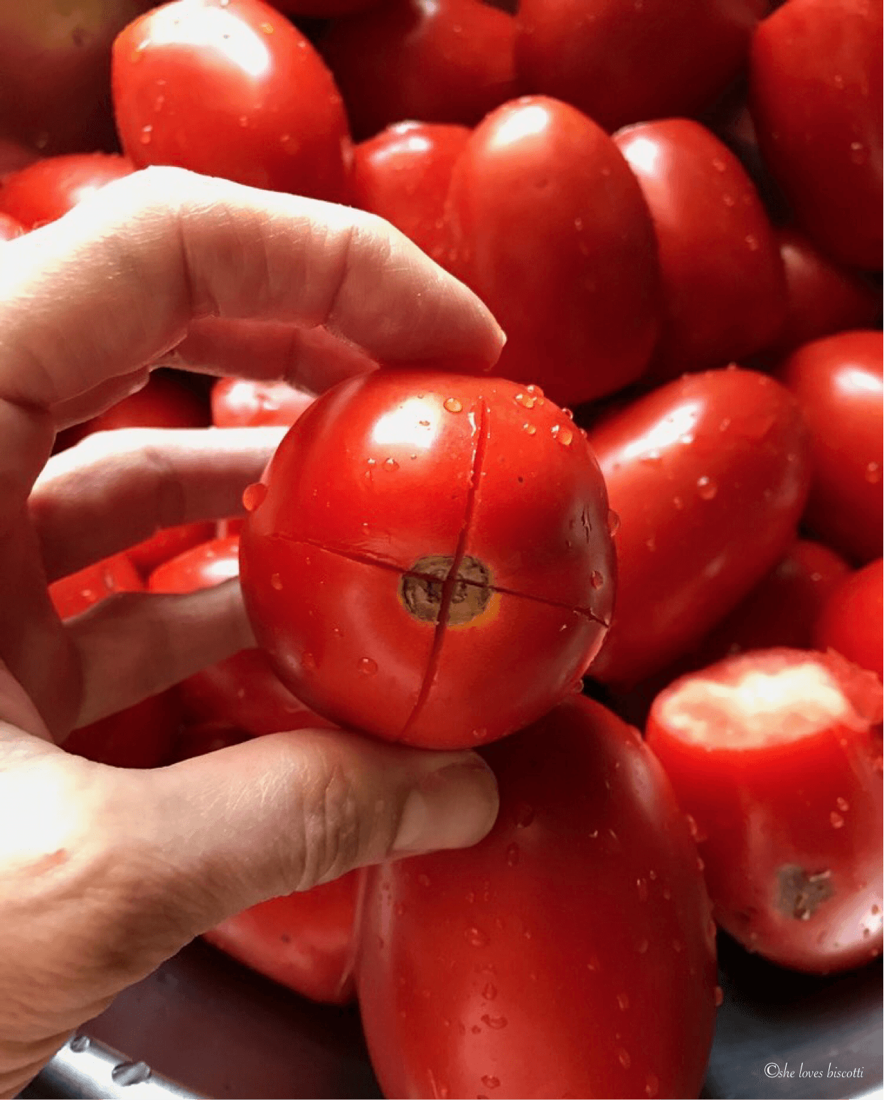 Canning Raw Pack Whole Tomatoes