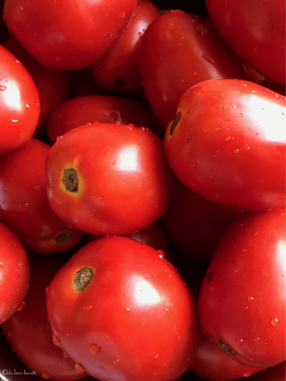 Canning Raw Pack Whole Tomatoes