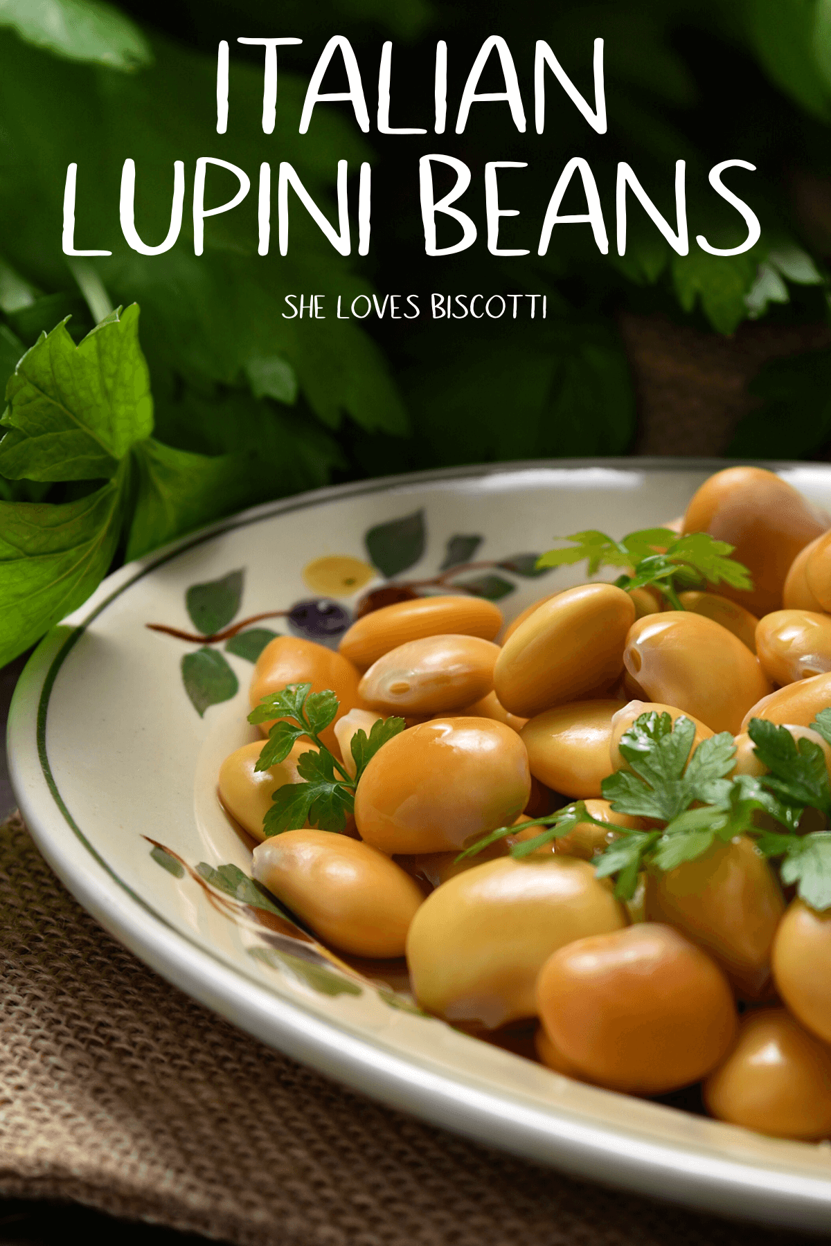 Here is a step by step tutorial just for you so that you can prepare your own lupini beans. #lupini #lupinibeans #appetizers #Italianappetizers #snacks #tremocos #diy #Italian