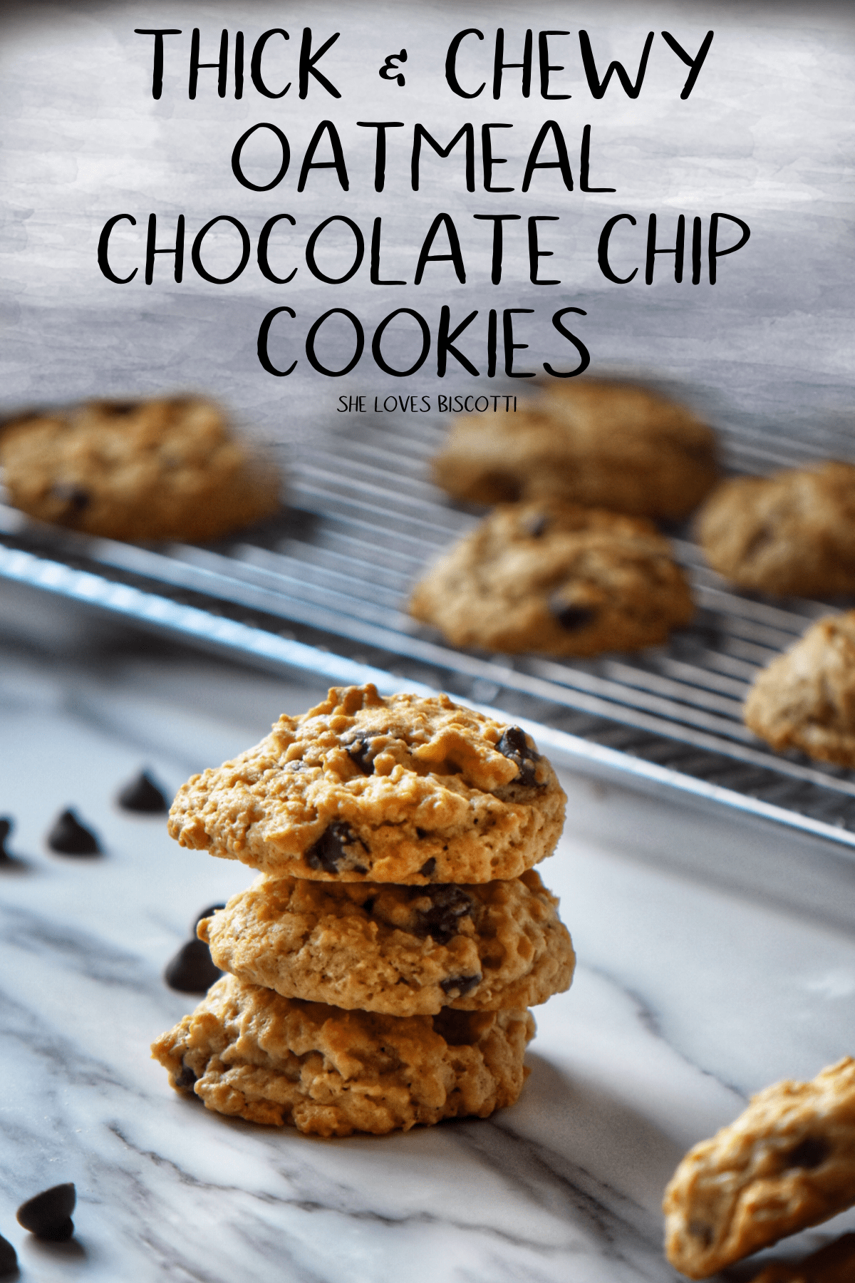 Thick and Chewy Oatmeal Chocolate Chip cookies aka the only chocolate chip cookie you will ever need!#shelovesbiscotti #oatmeal #oatmealchocolatechipcookies #oats #oatmealcookies #nomnomnom #oatmealcookies #easybaking #quickoats
