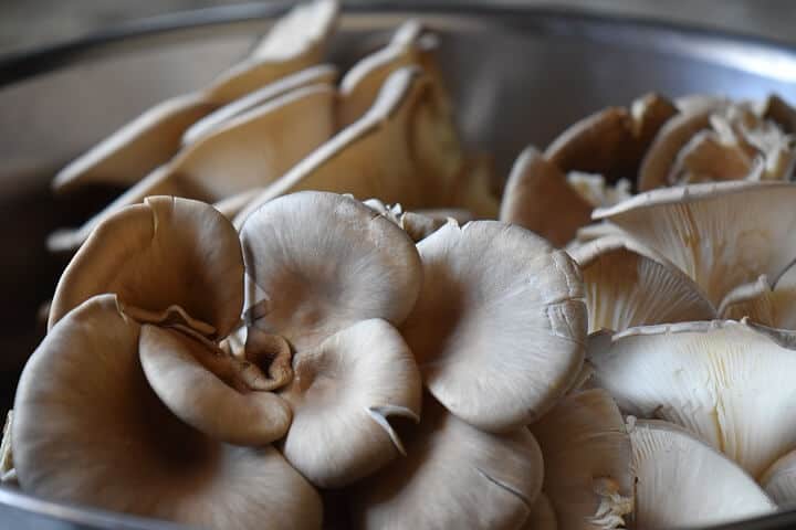 A close up shot of oyster mushrooms used in this recipe for marinated mushrooms.