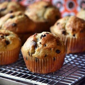 A close up of the chocolate chip muffins.