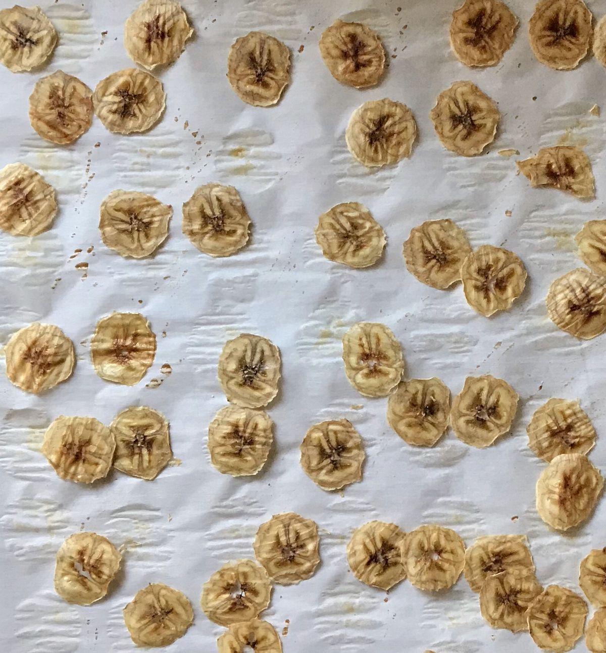Freshly made banana chips on parchment paper.