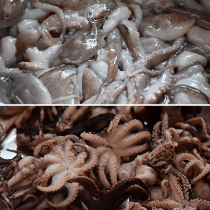 Two pictures showing the octopus, before and after being cooked for the seafood salad.