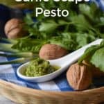 One tablespoon of Garlic Scape Pesto placed in a wicker basket along side walnuts, basil and parsley.