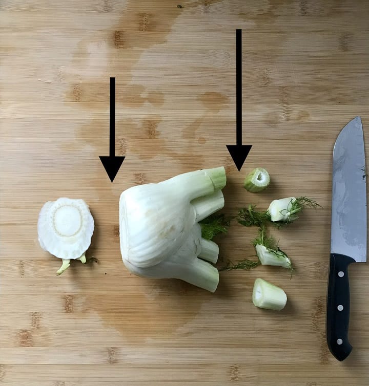 A fennel has been cut into three sections: the stalks and the fennel fronds, the bulb and the bottom root part. 