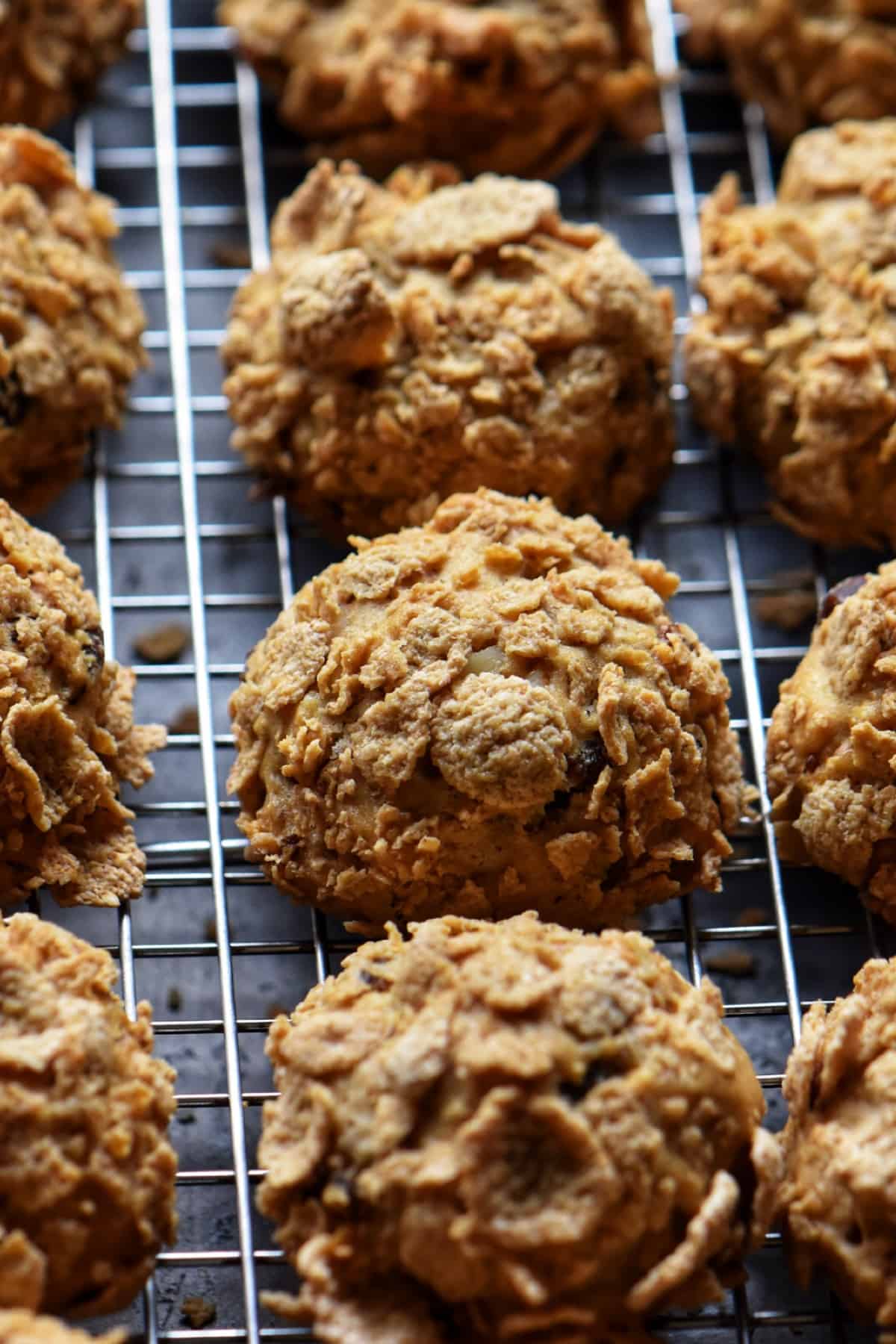 Oat date cookies cooling off on a cookie rack.