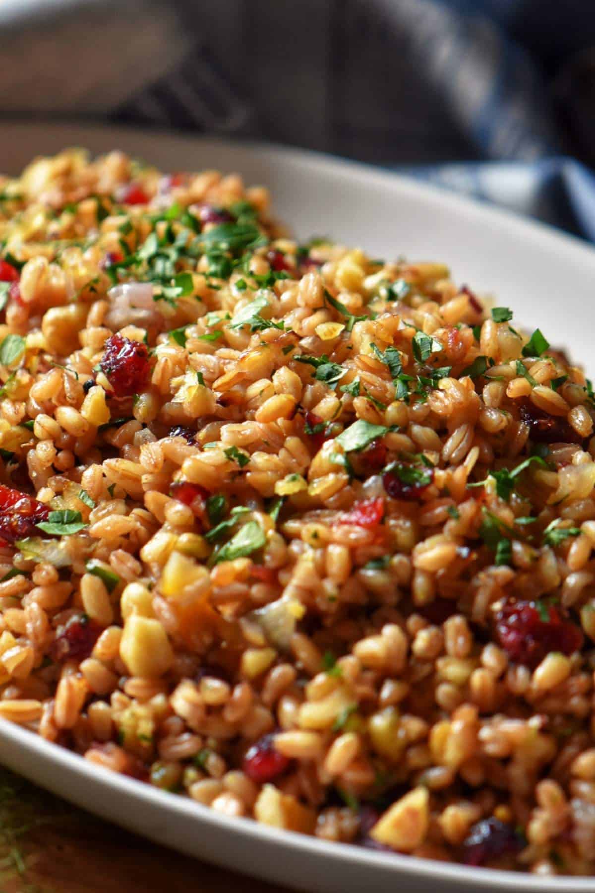 Warm Farro Salad Perfect for Fall She Loves Biscotti