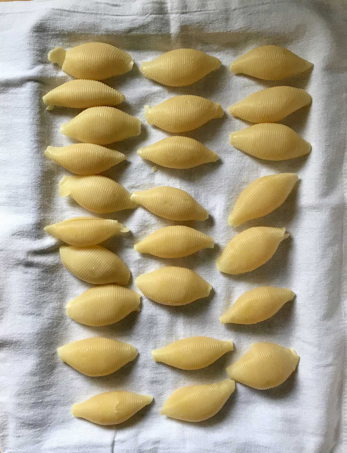 Giant pasta shells are placed upside down on a clean tea towel.