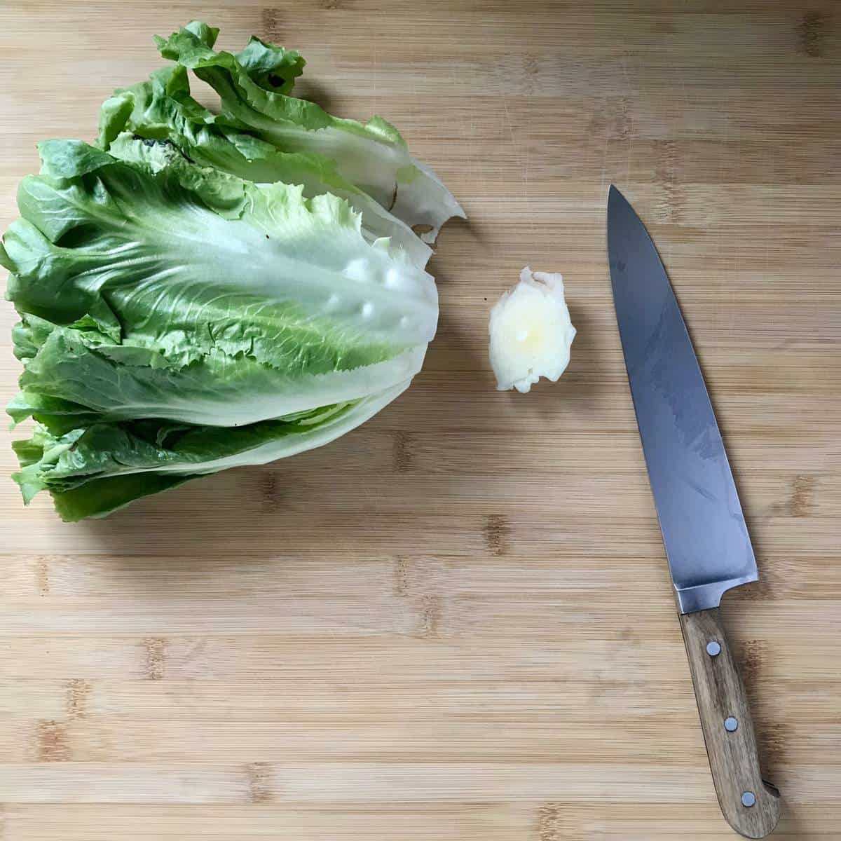 An escarole picture with the end trimmed off.