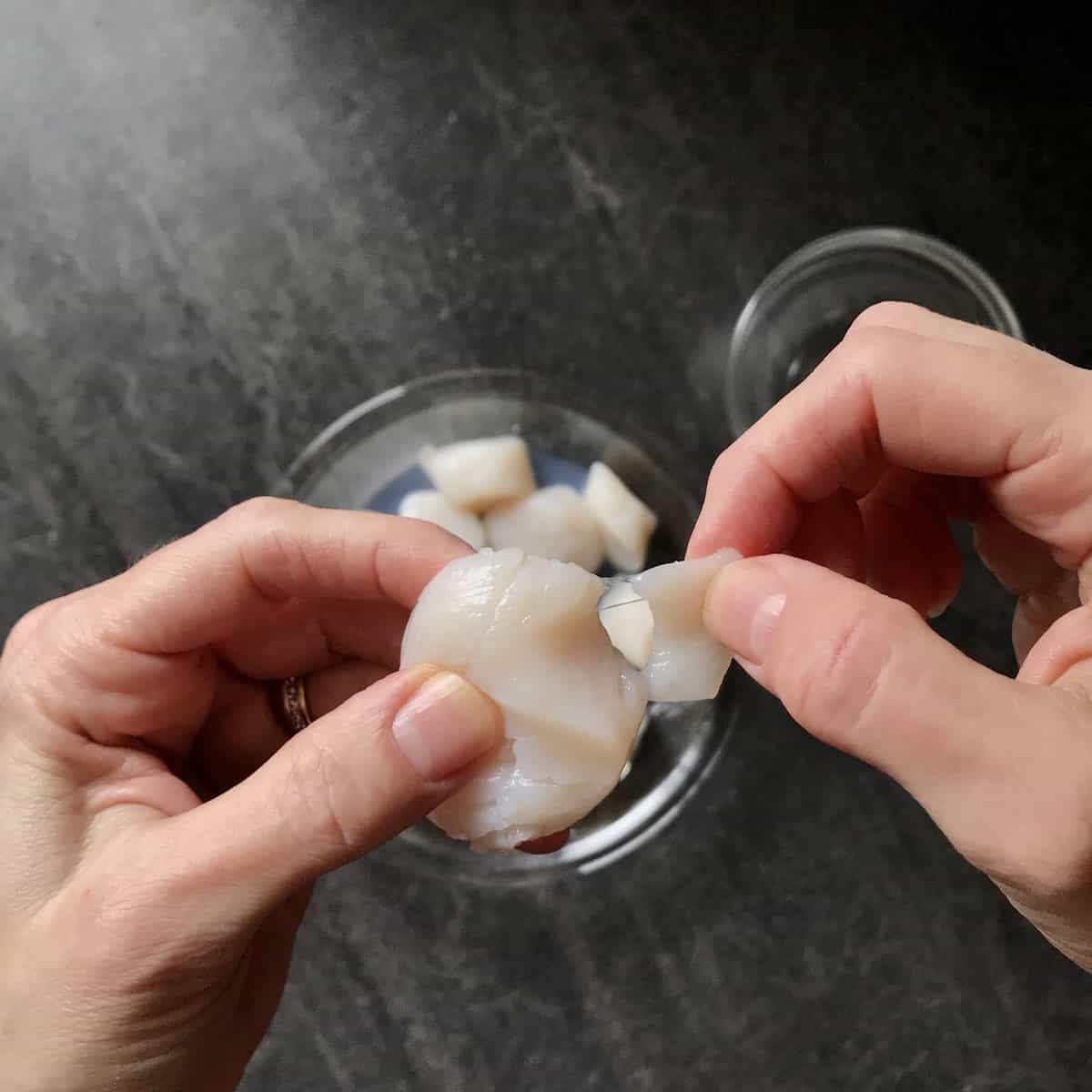 The side muscle of a scallop in the process of being peeled away.