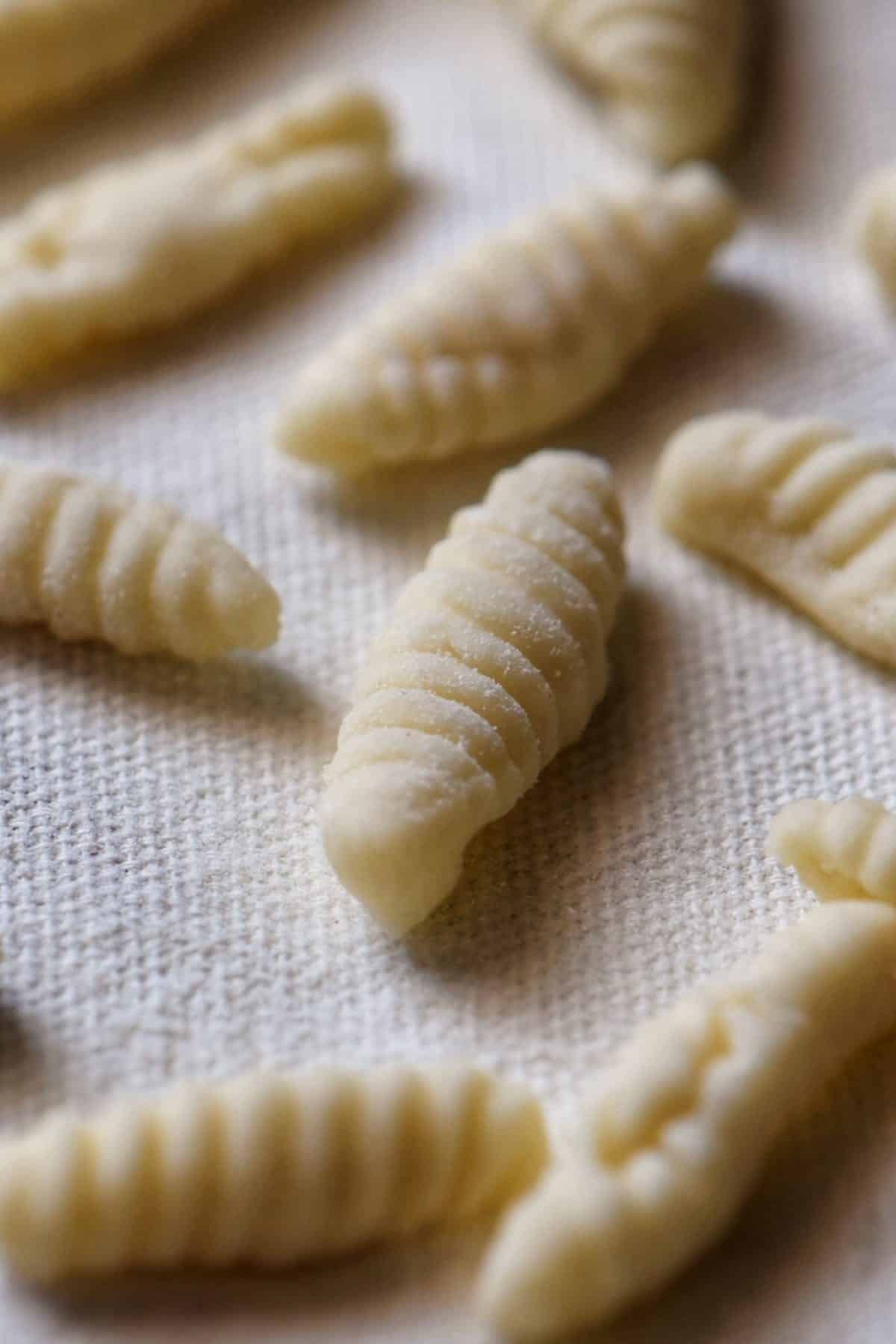 Homemade pasta dough on a floured tea towel.