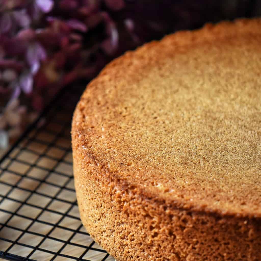 Italian Sponge Cake Recipe Pan di Spagna She Loves Biscotti