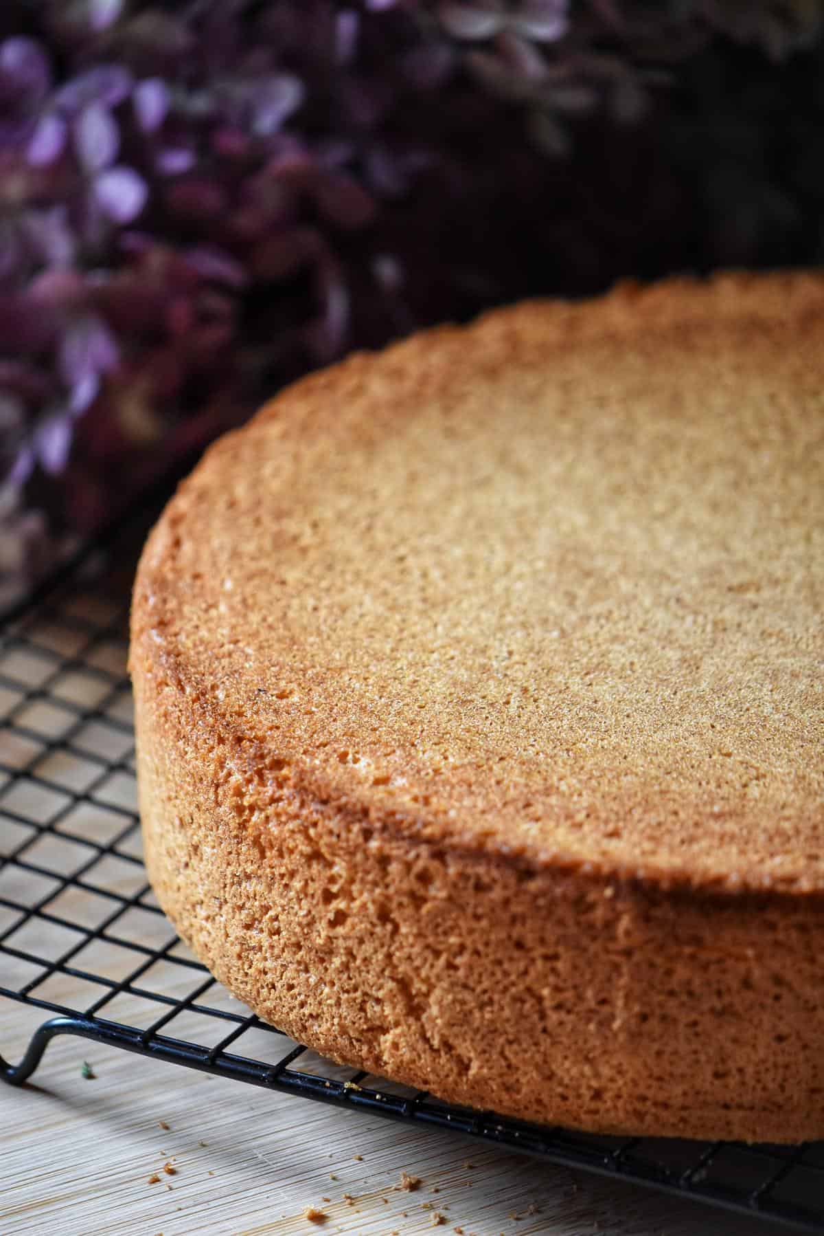 A sponge cake on a cooling rack.