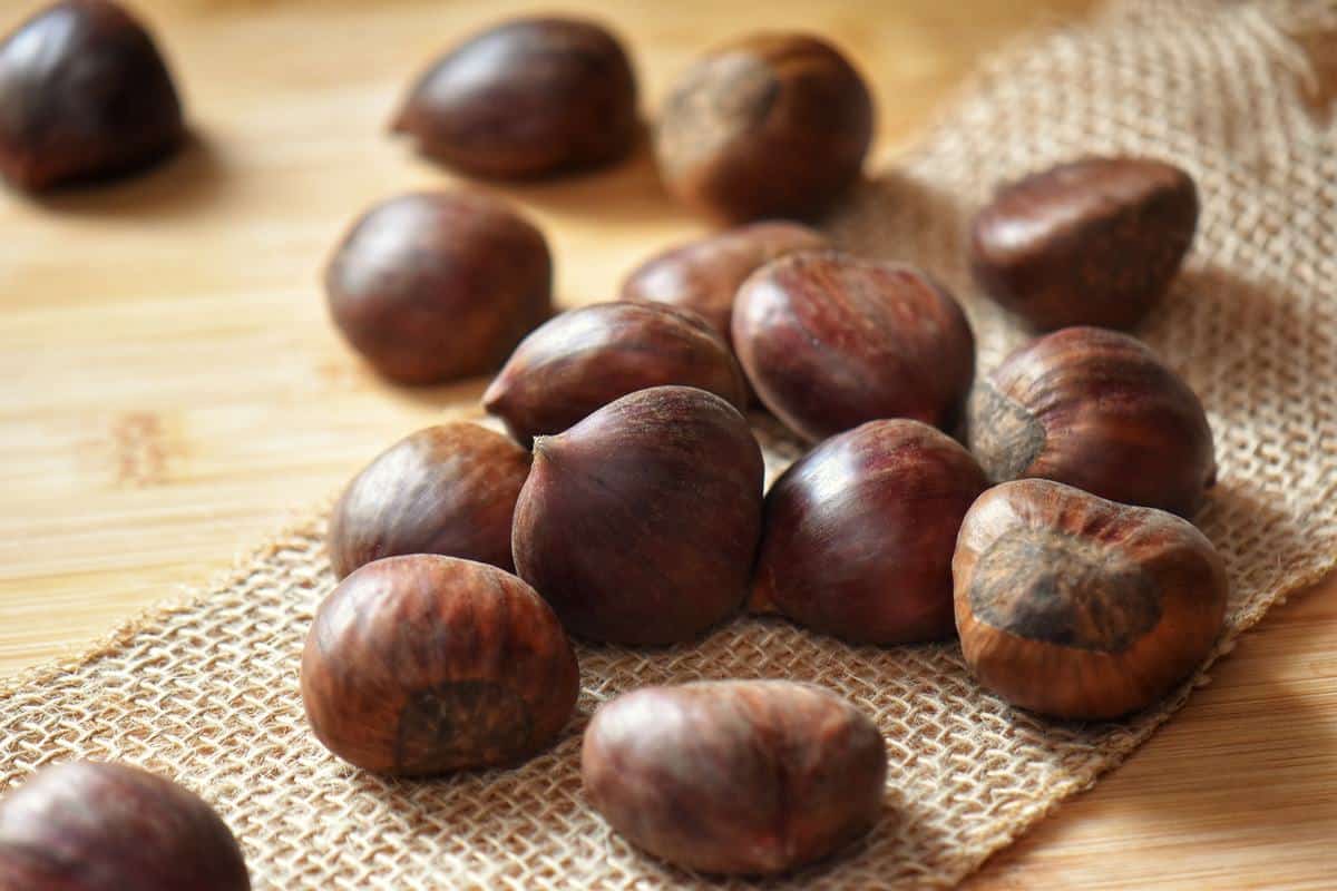 Fresh chestnuts on a wooden board.