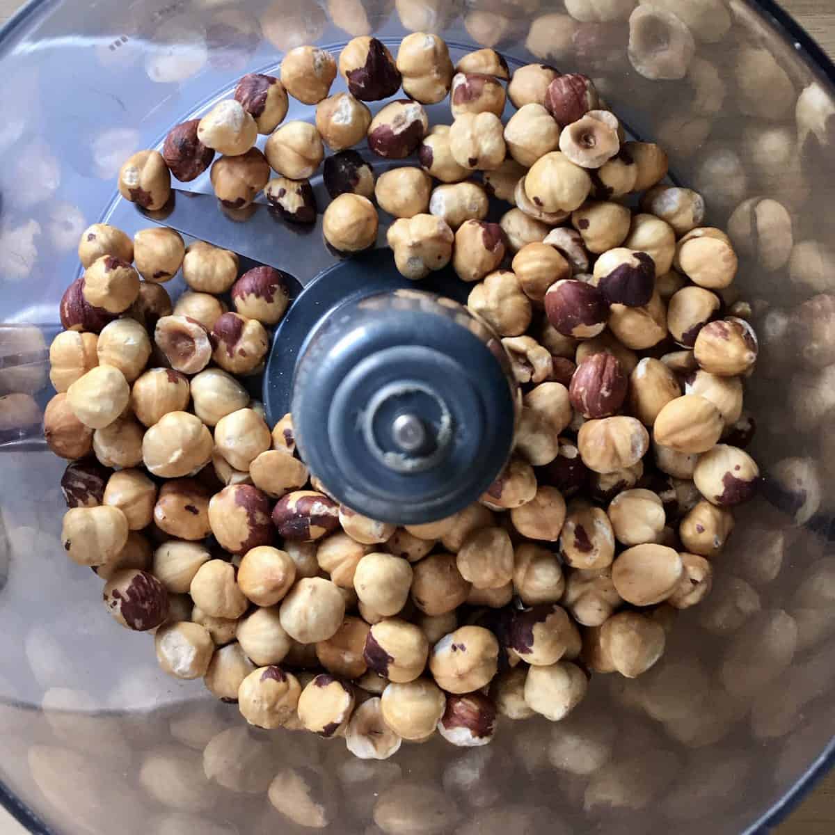 Roasted hazelnuts in a food processer. 