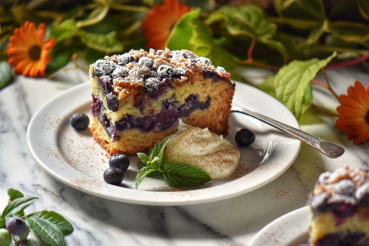 A piece of bluberry coffee cake on a white plate.