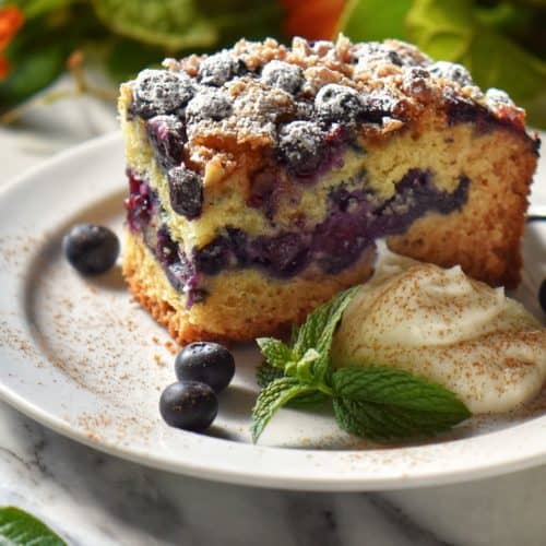 A slice of blueberry cake on a white plate.