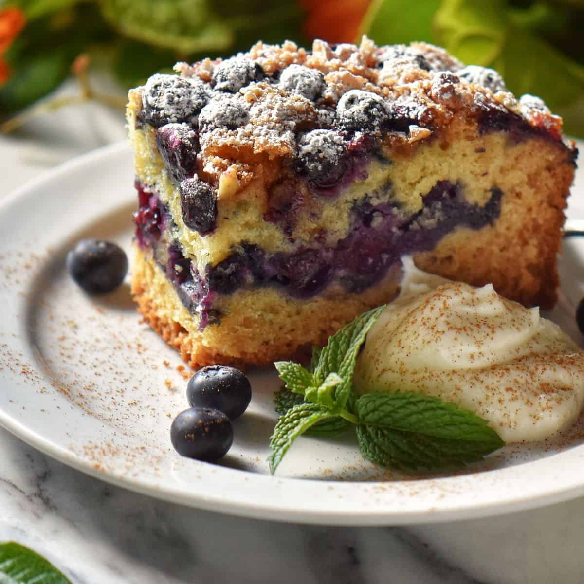 Blueberry Sour Cream Coffee Cake Recipe She Loves Biscotti