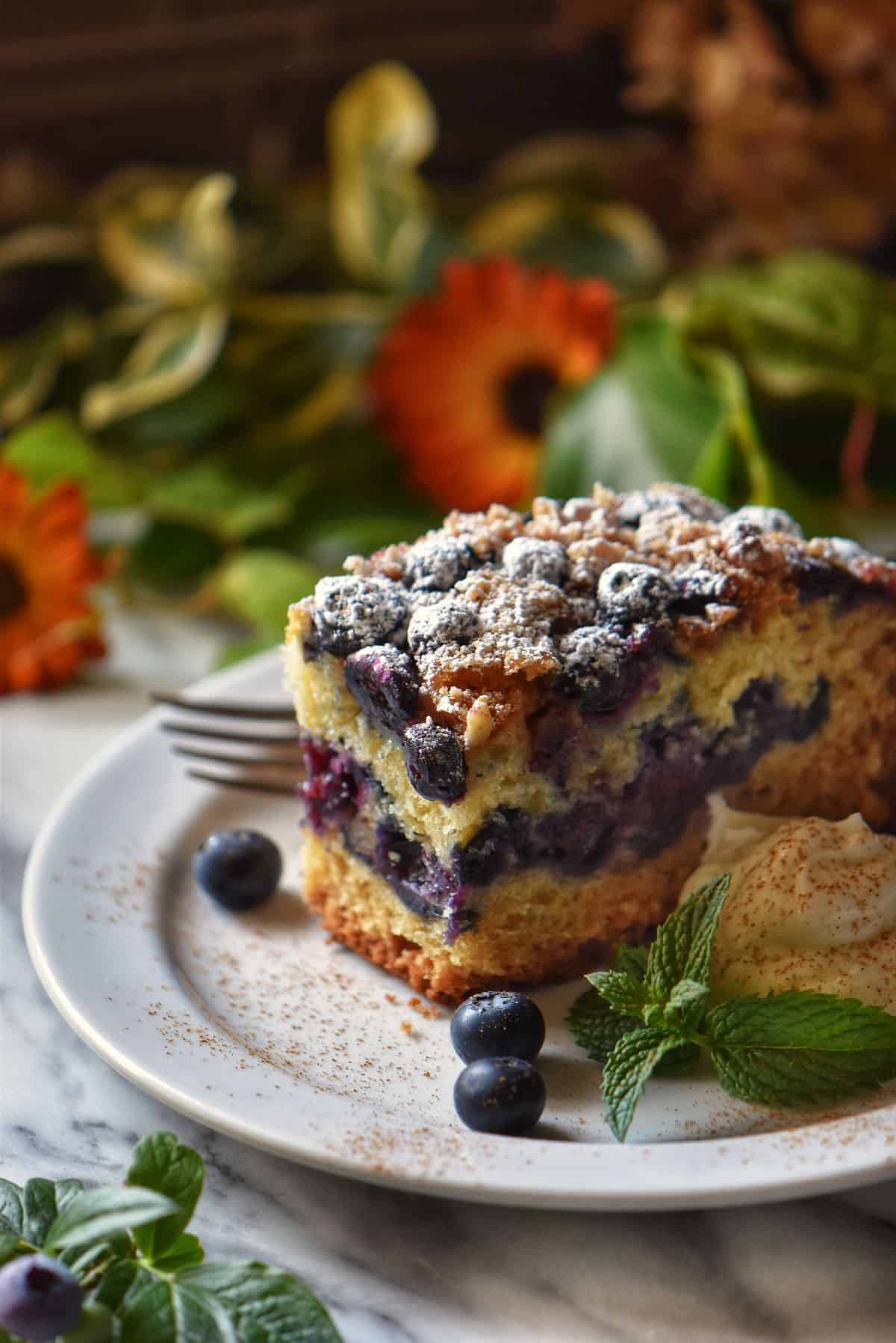 A slice of blueberry cake on a white plate.
