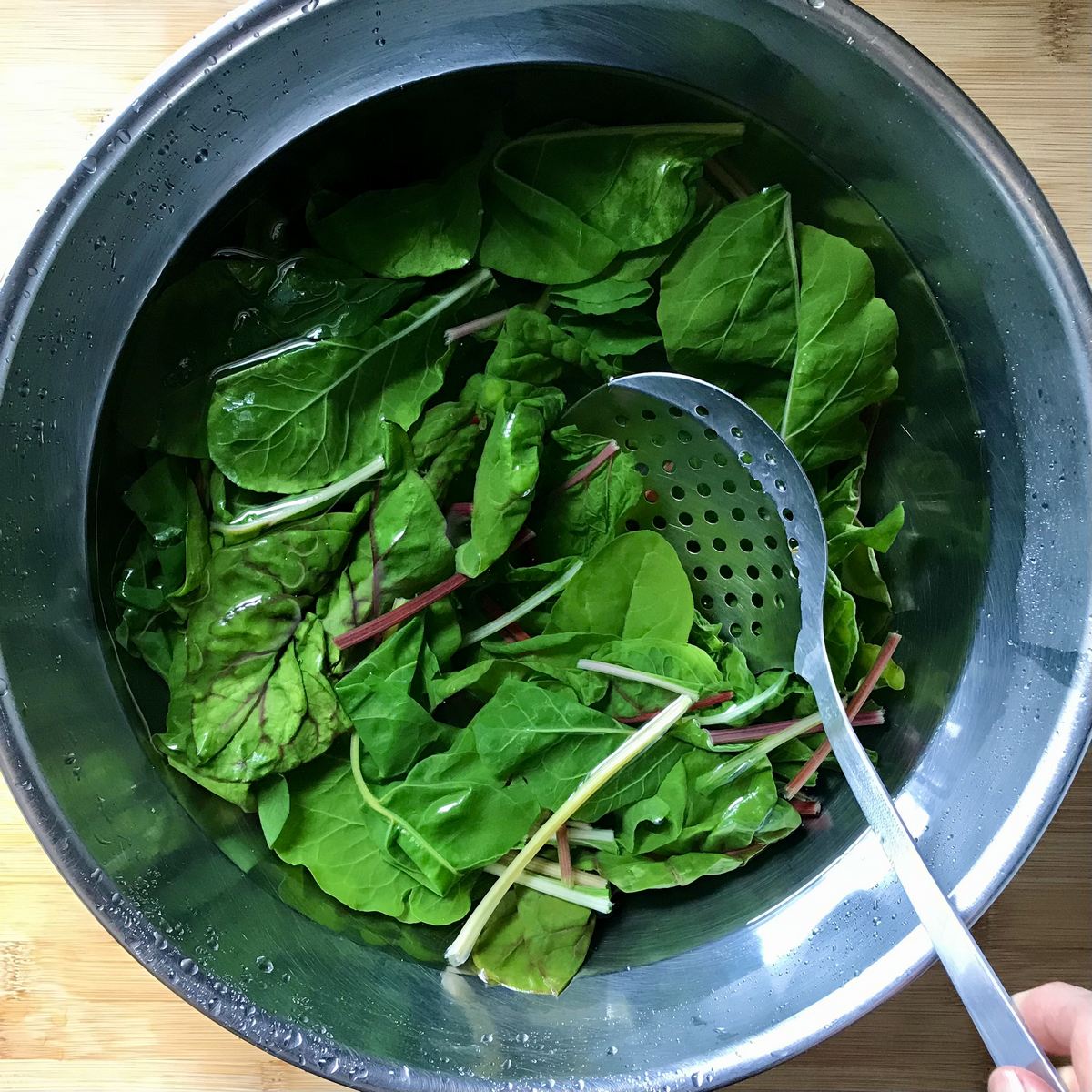 Swiss chard in an ice water bath.