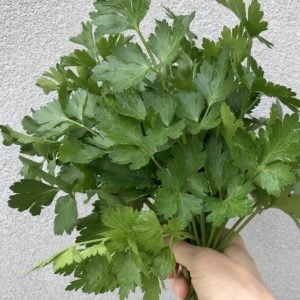 A handful of fresh parsley.