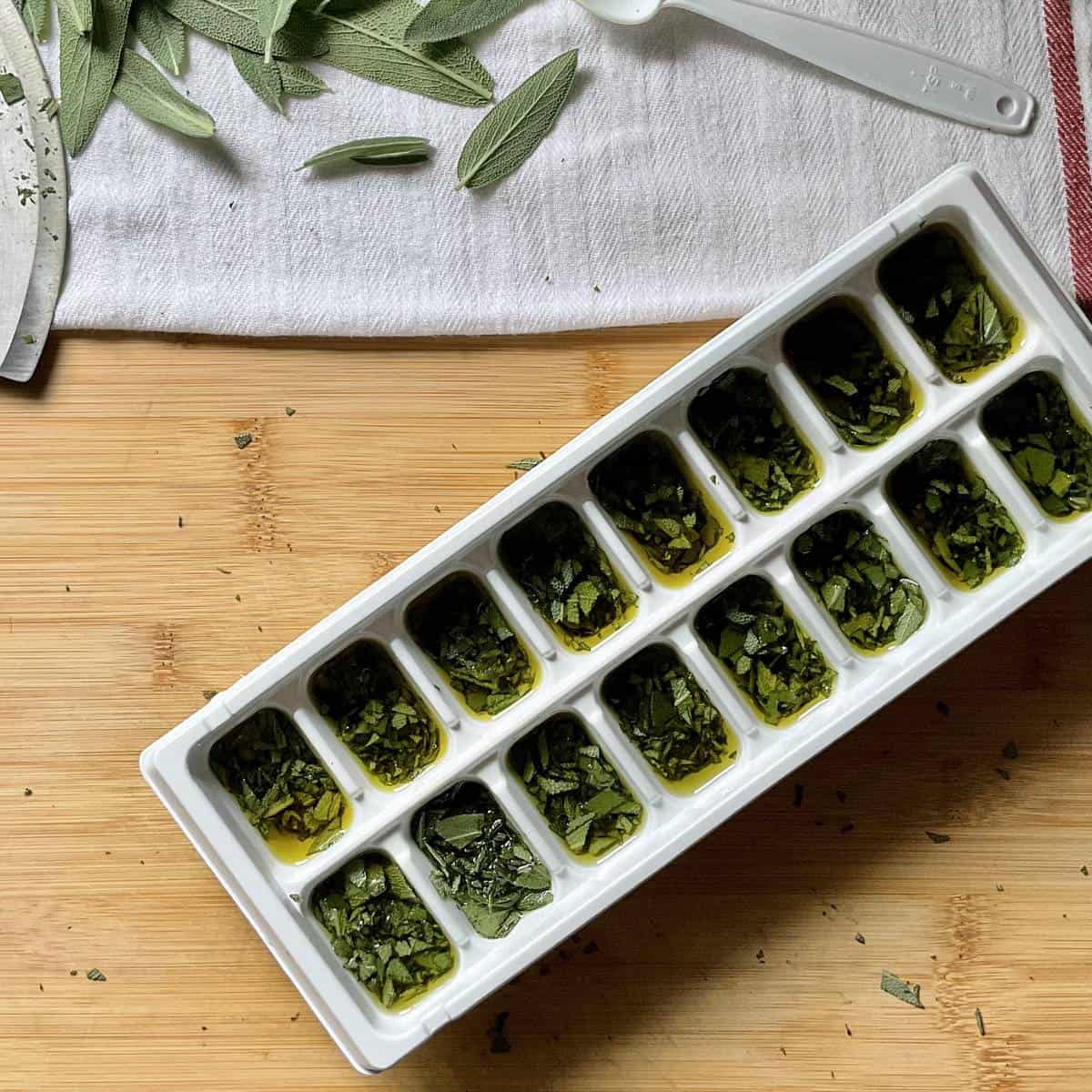 An ice cube tray filled with fresh herbs.