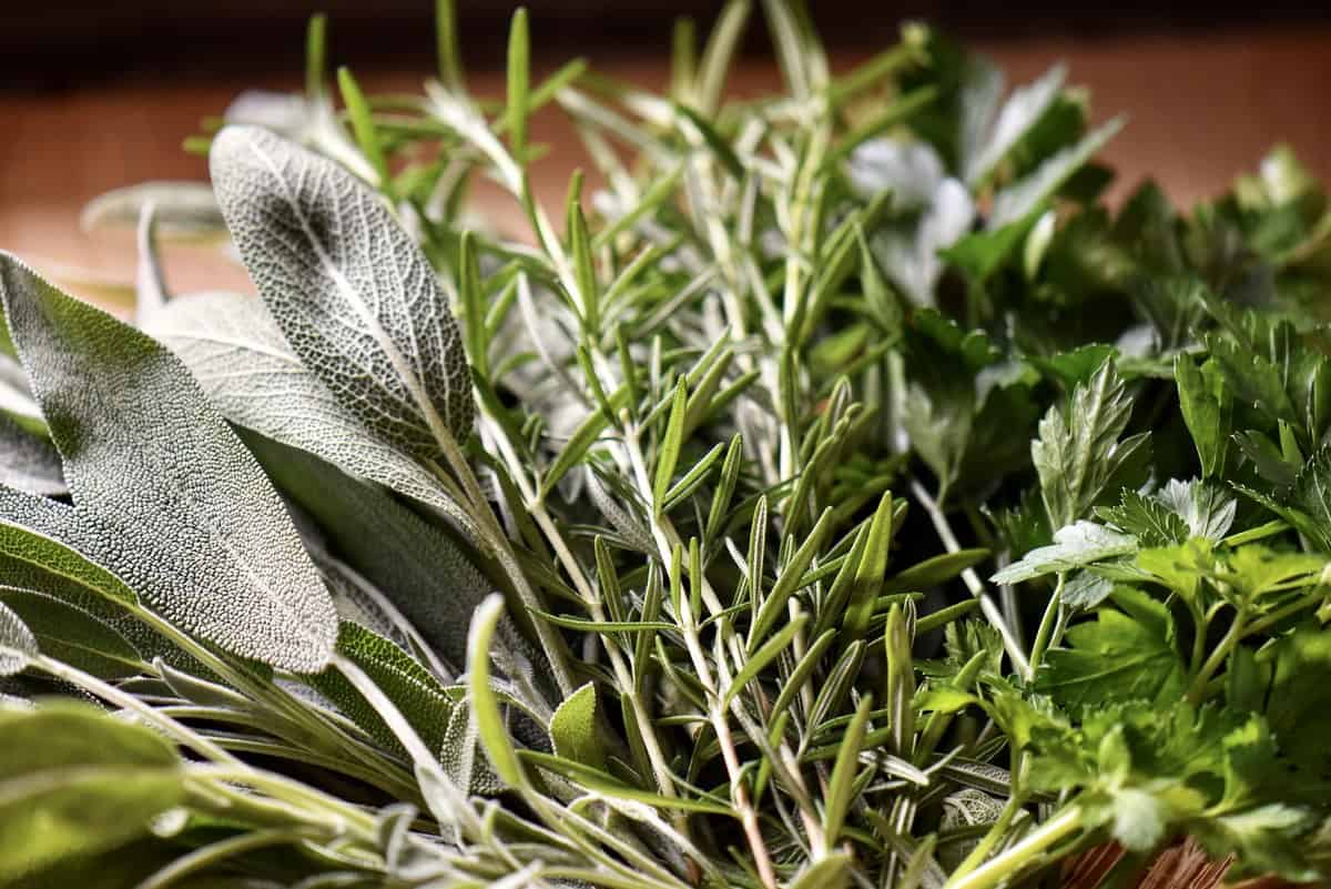 A close up photo of fresh herbs.