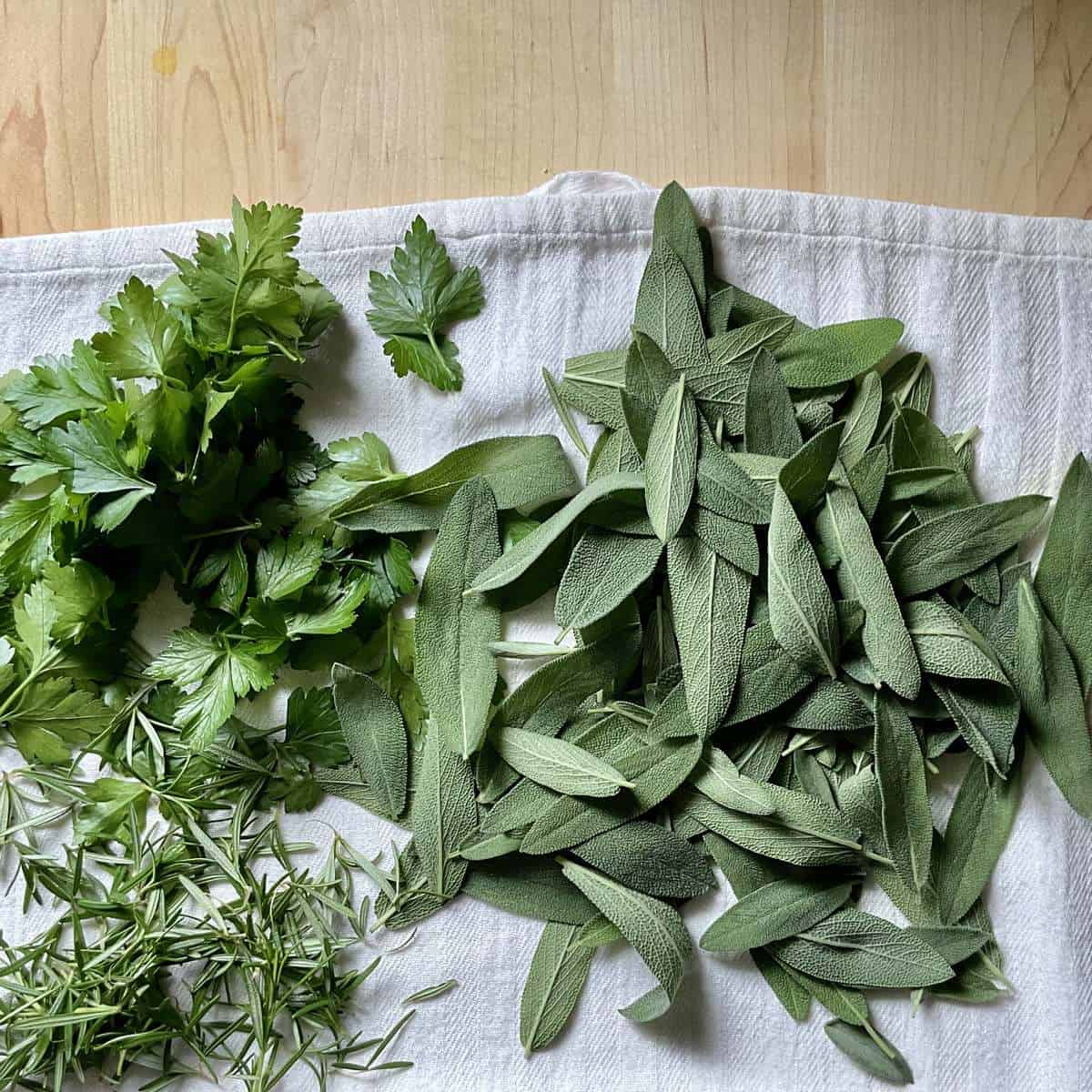 Herbs on a tea towel.