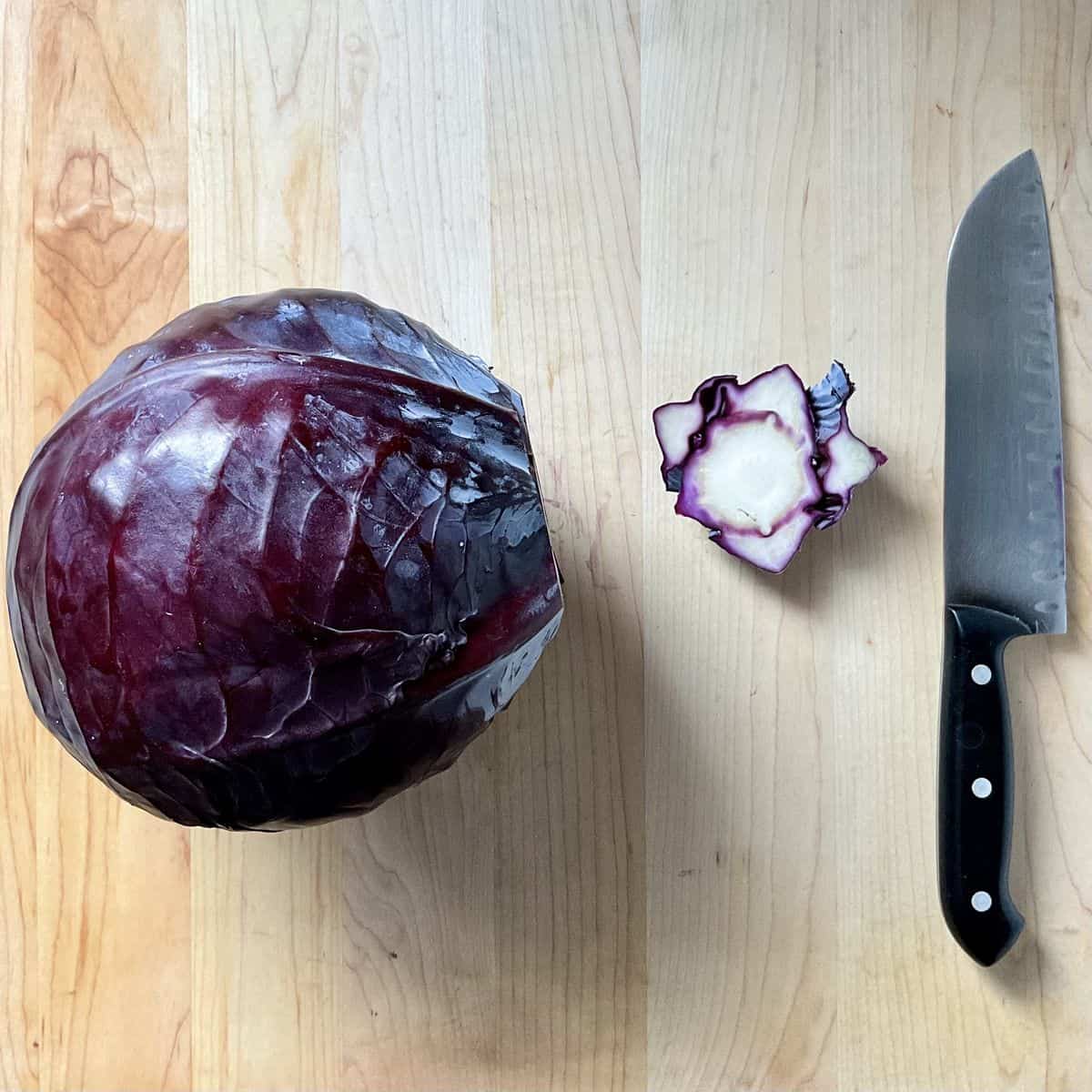A red cabbage and its trimmed root.