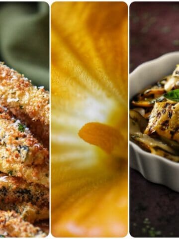 A photo collage of easy zucchini recipes.